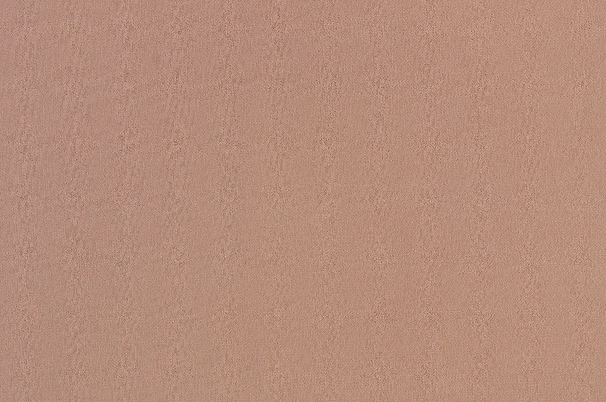 Mocca Muda